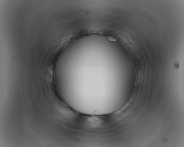 X0000091080183200708201442