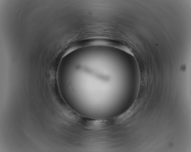 X0000091080184200708201442