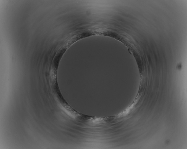 X0000091080186200708201442