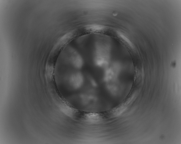 X0000091080189200708201443