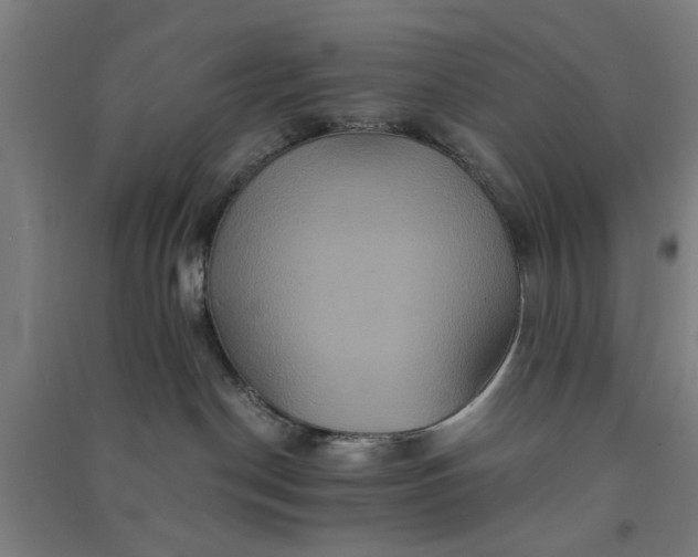 X0000091080190200708201443