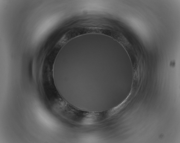 X0000091080191200708201443