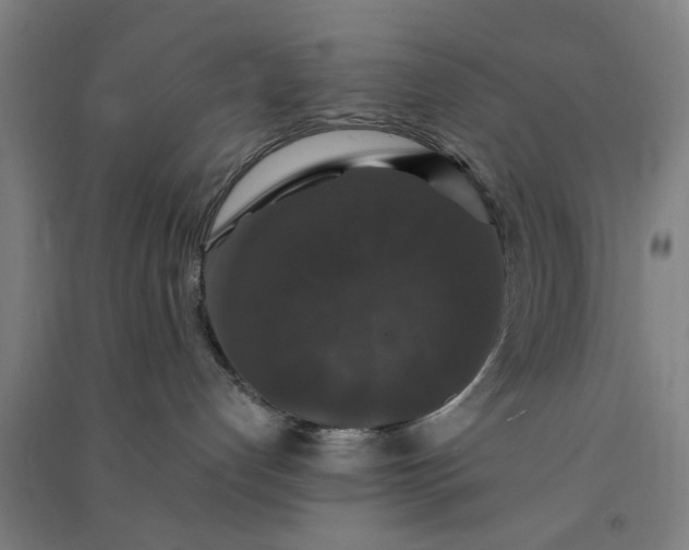 X0000091080192200708201443