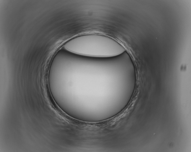 X0000091080193200708201442