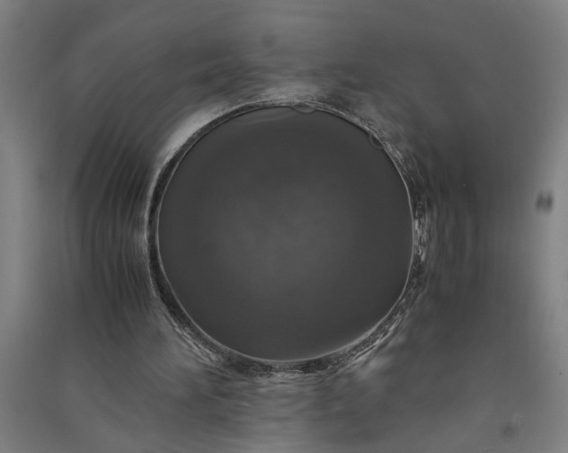 X0000091080196200708201442