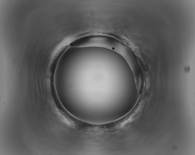 X0000091080197200708201442