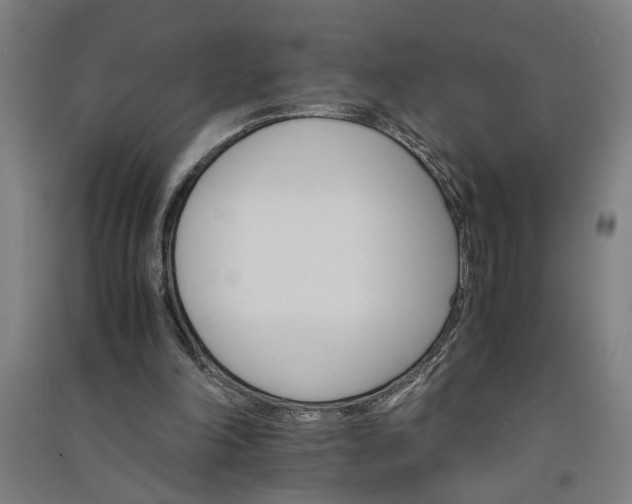 X0000091080198200708201442