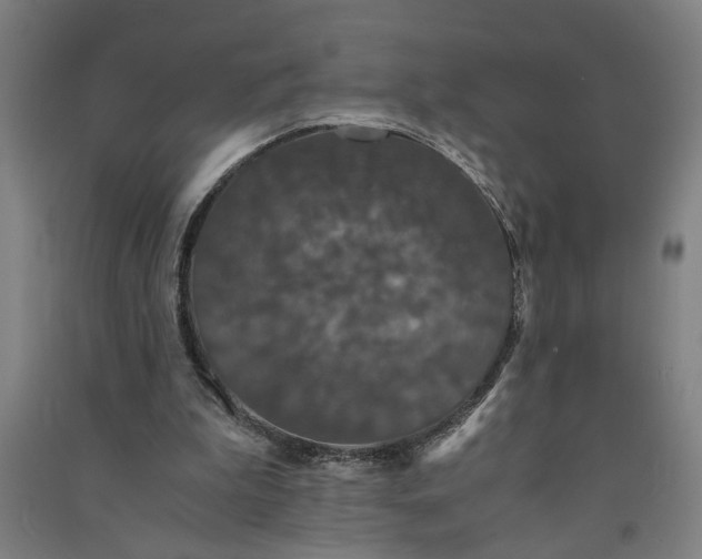 X0000091080199200708201442