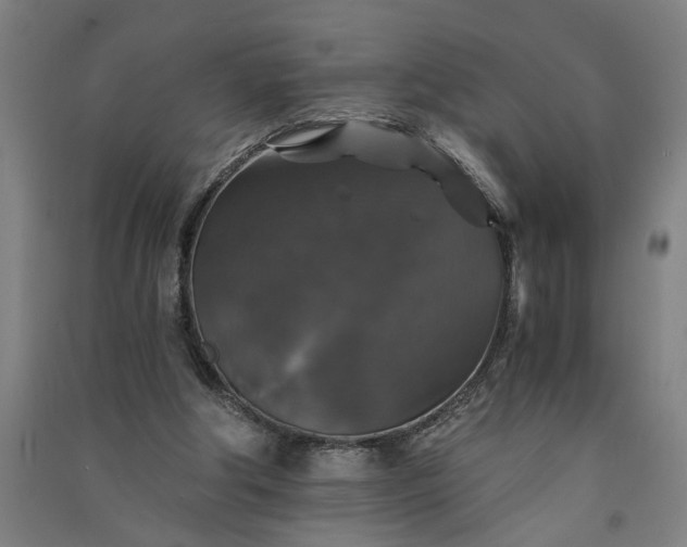 X0000091080202200708201442