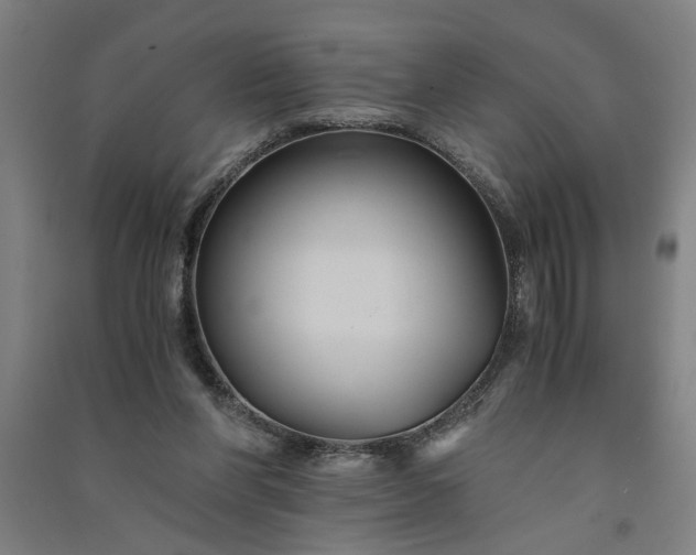 X0000091080206200708201442