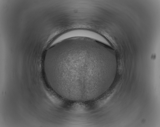 X0000091080207200708201442