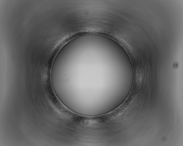 X0000091080208200708201442