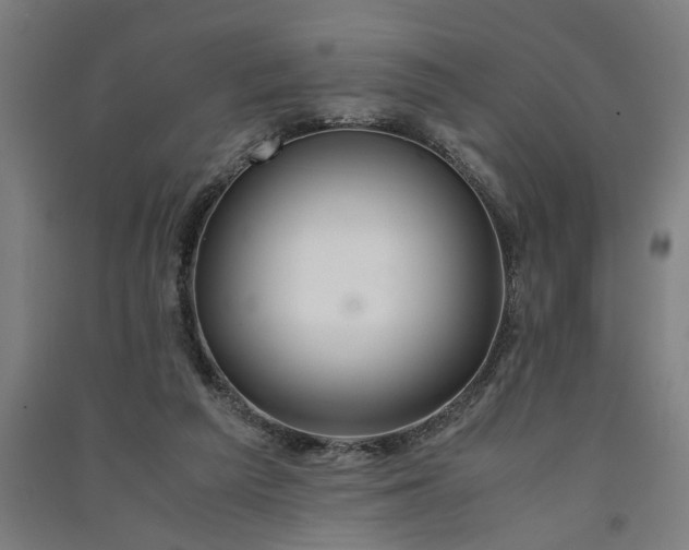 X0000091080209200708201442