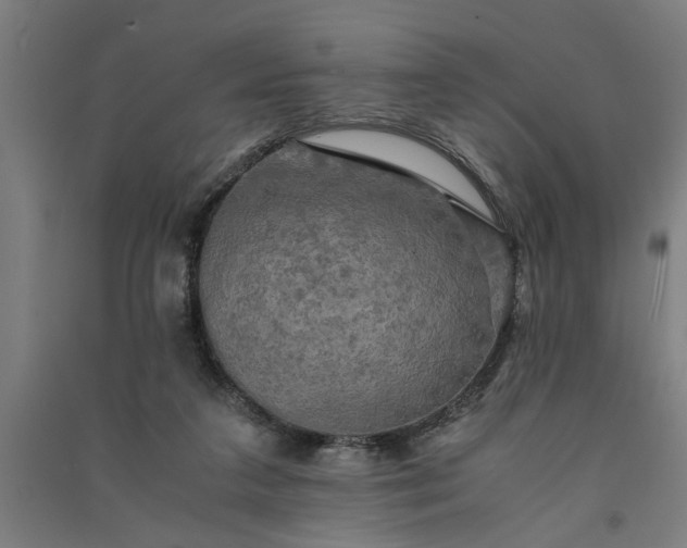 X0000091080211200708201442