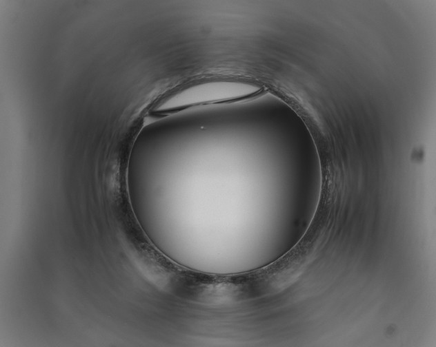 X0000091080212200708201442