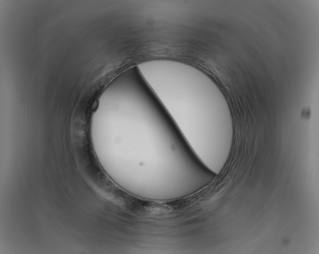 X0000091080215200708201442