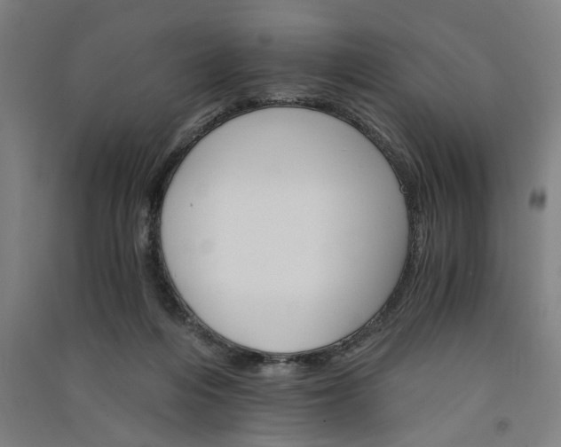 X0000091080216200708201442