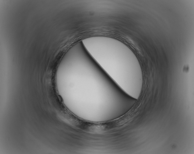 X0000091080217200708201442