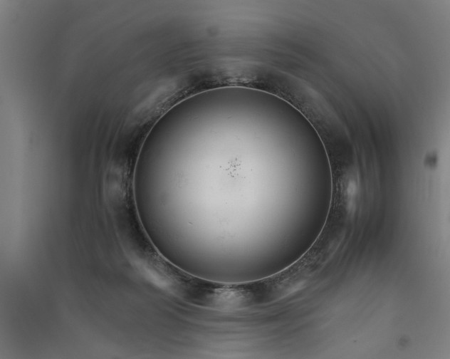 X0000091080218200708201442