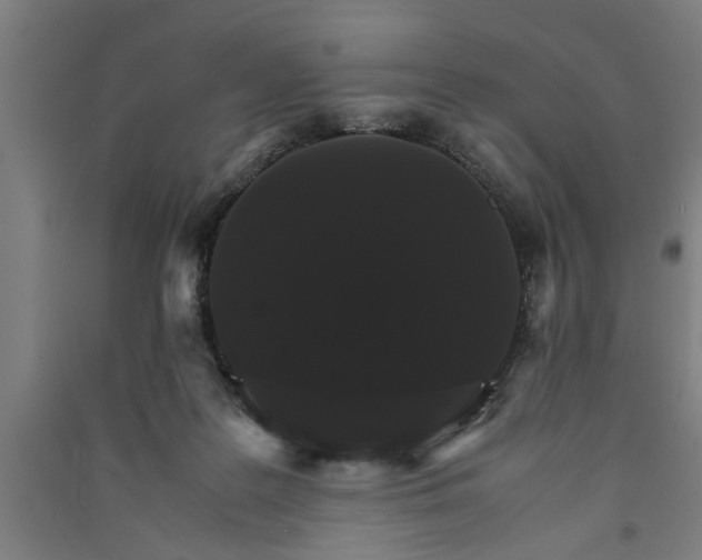 X0000091080219200708201442