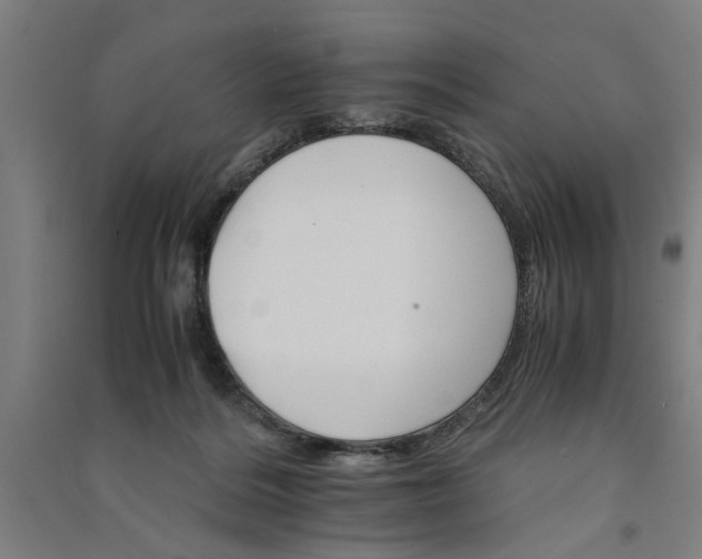 X0000091080220200708201442