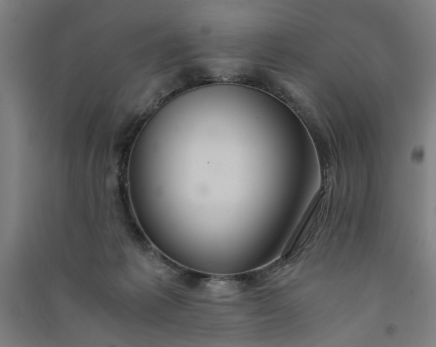 X0000091080221200708201441