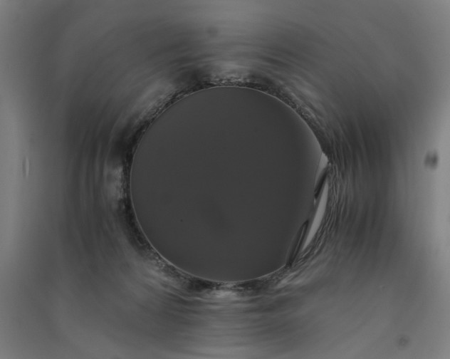 X0000091080224200708201441