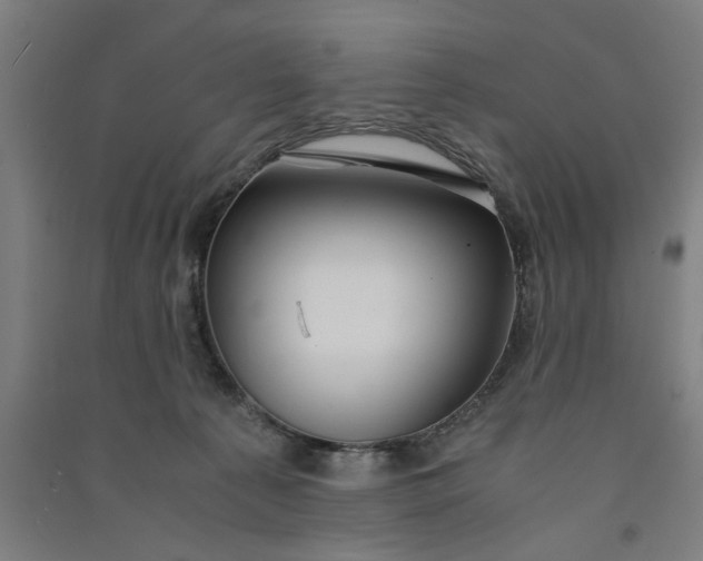 X0000091080225200708201441