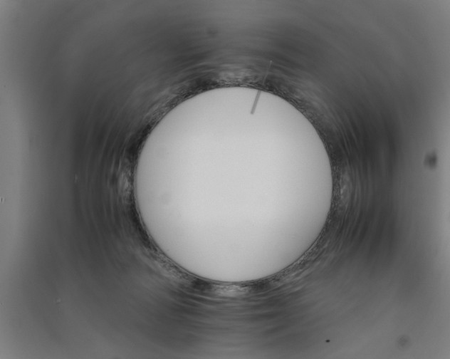 X0000091080226200708201441