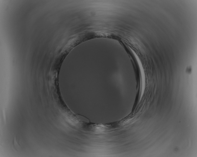 X0000091080229200708201441