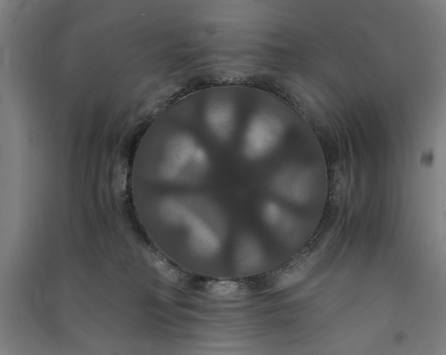 X0000091080230200708201441