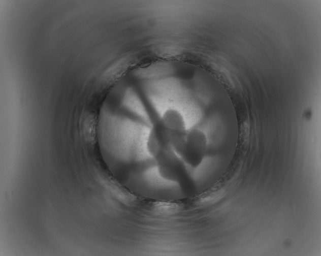 X0000091080234200708201441