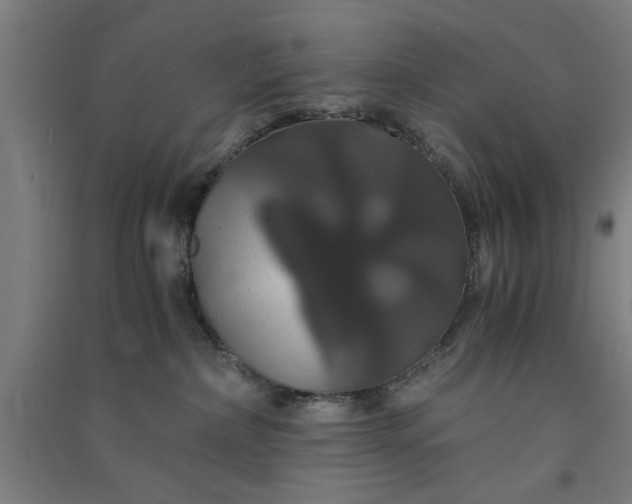 X0000091080236200708201441