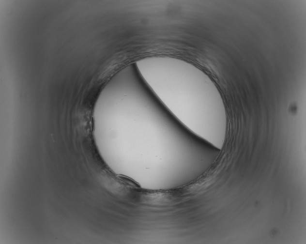 X0000091080237200708201441