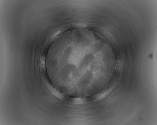 X0000091080238200708201441