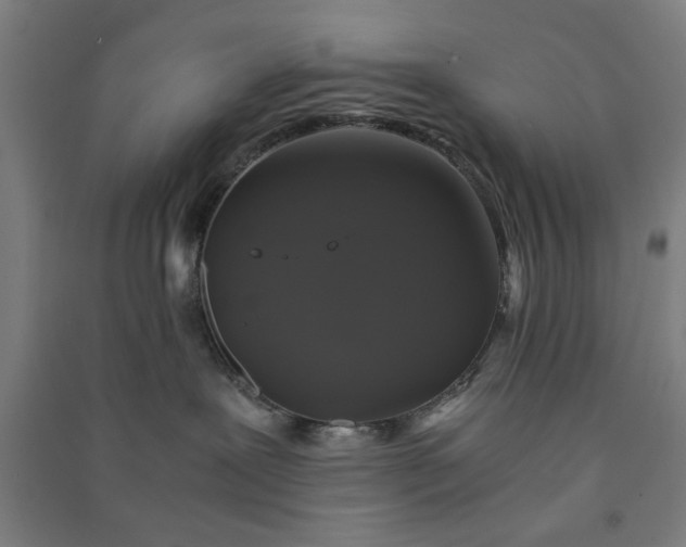 X0000091080239200708201441