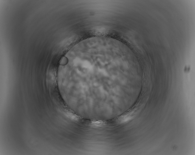 X0000091080240200708201441