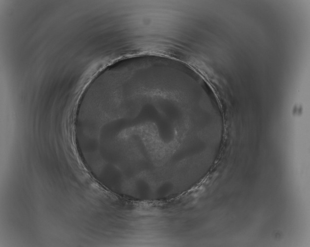 X0000091080241200708201440