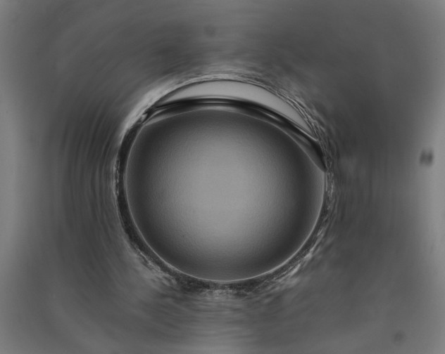 X0000091080244200708201440