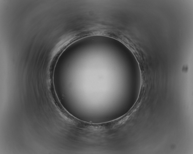 X0000091080245200708201440