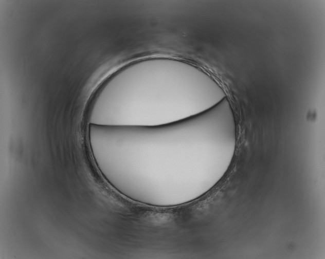 X0000091080247200708201440