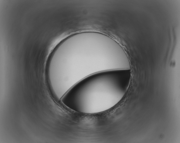 X0000091080248200708201441