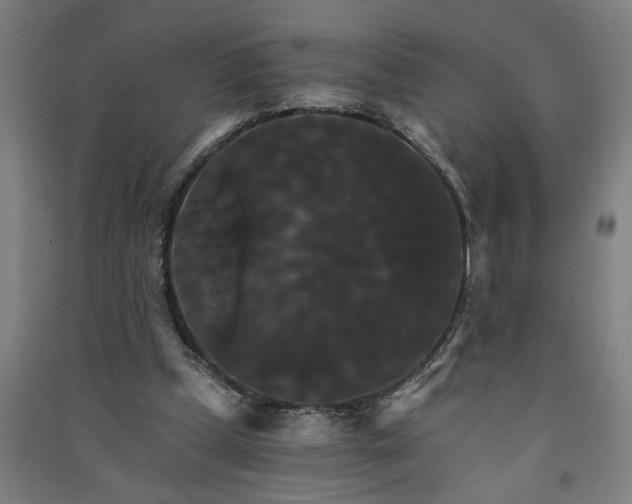 X0000091080249200708201441