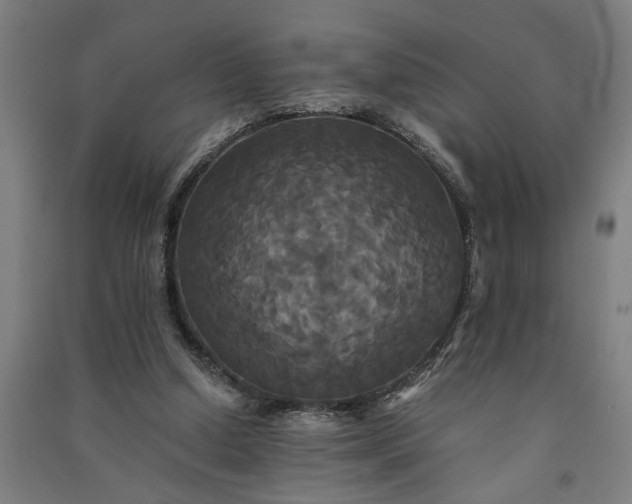 X0000091080250200708201441