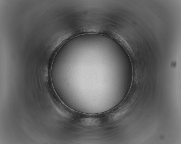 X0000091080251200708201441