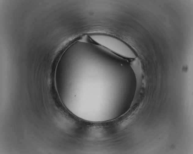 X0000091080252200708201441