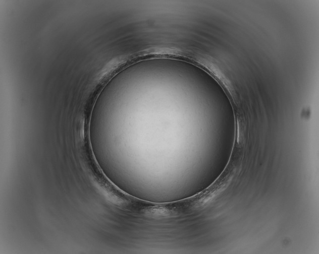 X0000091080253200708201441