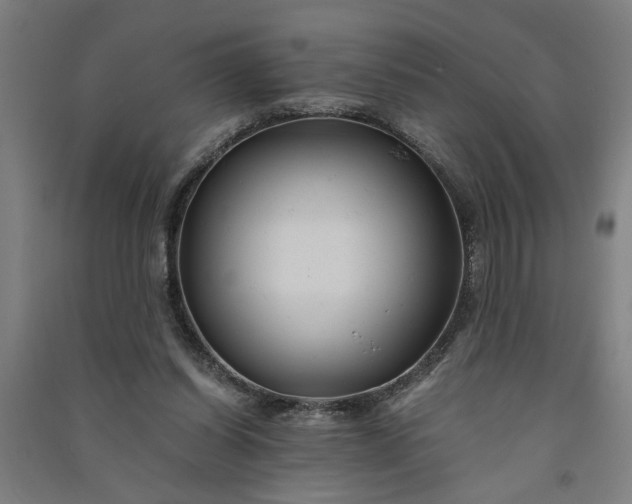 X0000091080254200708201441