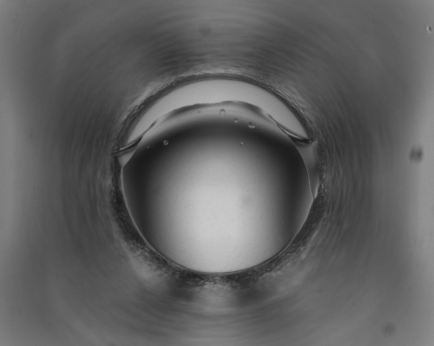 X0000091080256200708201441