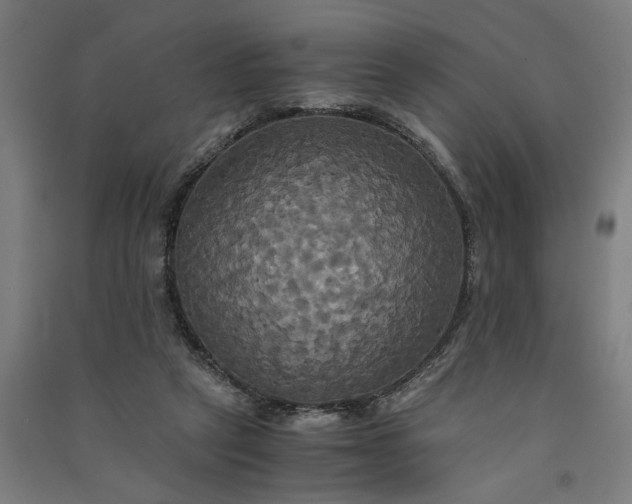 X0000091080257200708201441